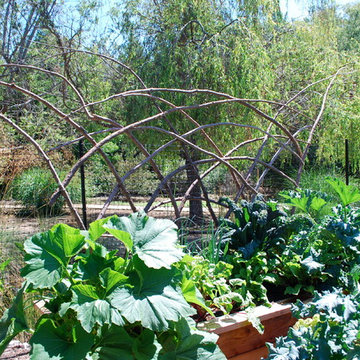 SF Garden