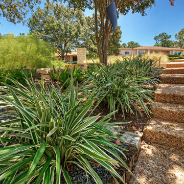 Shade Garden 2