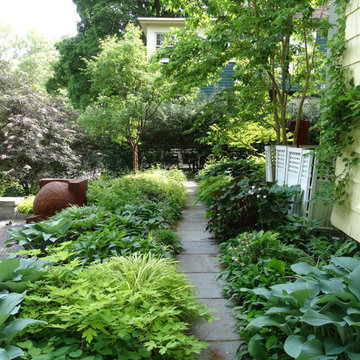Shade Garden