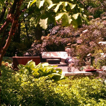 Shade garden