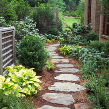 Shaded area pathway