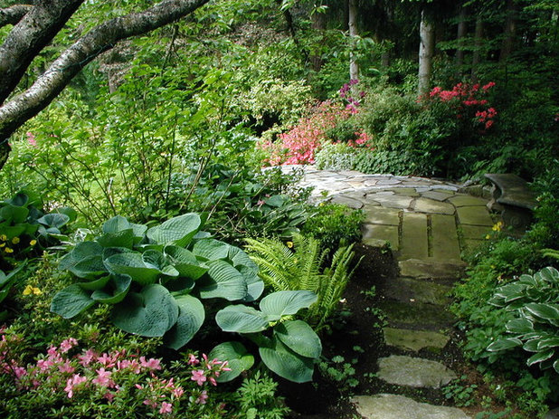 Modern Garten by Bear Creek Landscaping , LLC
