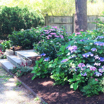 Shade Garden