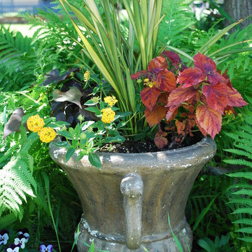 Shade Garden with Container Planting