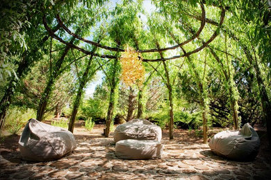 Cette image montre un jardin arrière design avec une exposition ensoleillée et des pavés en pierre naturelle.