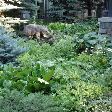 Shady perennial garden