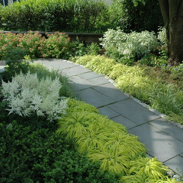 Shady Rain Gardens
