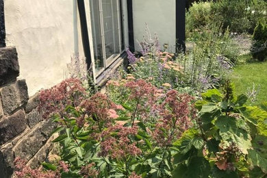 Foto de jardín de secano clásico de tamaño medio en patio delantero con exposición parcial al sol