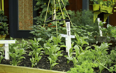 How to Start a Cool-Season Vegetable Garden