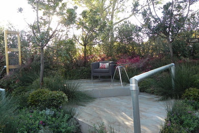 Imagen de jardín actual en patio trasero con exposición total al sol y entablado