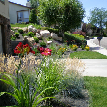 Side and Front Yard