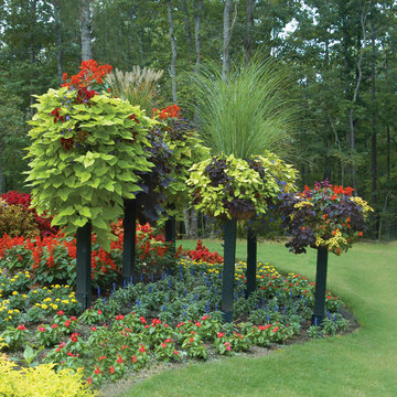 Side-Planted Baskets on Border Columns