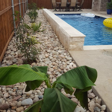 Sideyard, Front yard, Backyard - Sunny - Tropical Theme. Design + Installation.