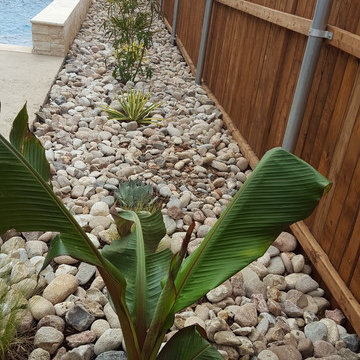Sideyard, Front yard, Backyard - Sunny - Tropical Theme. Design + Installation.