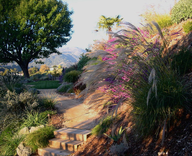 Contemporáneo Jardín by Confidence Landscaping, Inc.