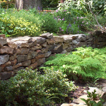 Silver spring sloped side yard