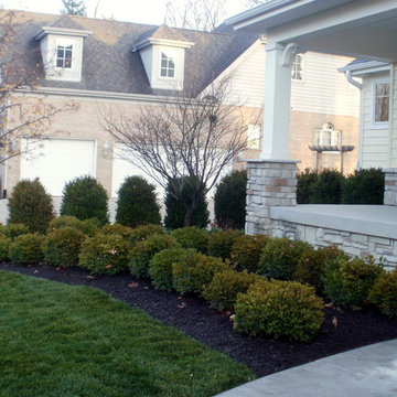 SImple, Contemporary, and Low Maintenance is sometimes enough