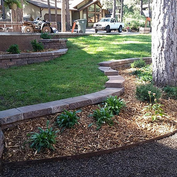 Simple Front Yard
