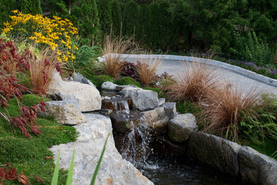 Modelo de jardín contemporáneo en patio delantero con estanque