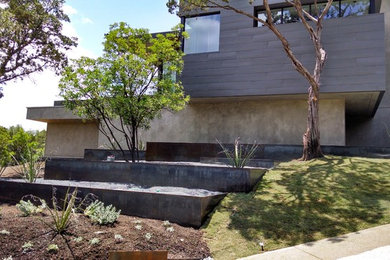 Photo of a mid-sized contemporary front yard landscaping in Austin.