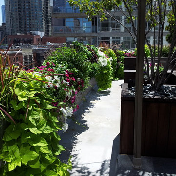 Skyline Terrace