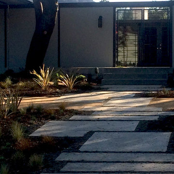 Skytop Road, Encino