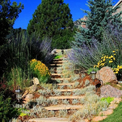 Design ideas for a traditional rock hillside landscaping in Denver.