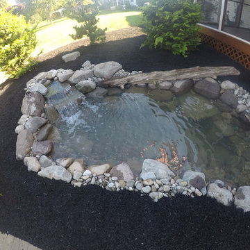 Small Backyard Pond