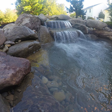 Small Backyard Pond