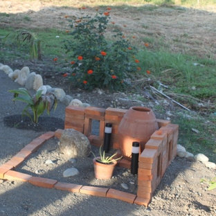 Cactus Garden | Houzz