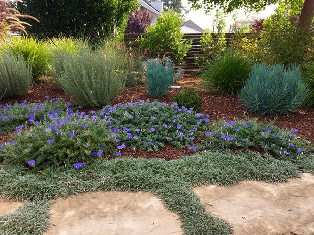 Traditional Landscape by Just in Thyme Landscape Design