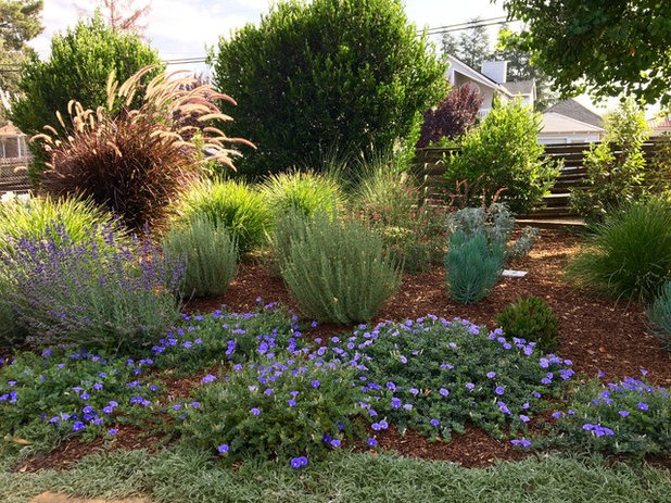 Traditional Landscape by Just in Thyme Landscape Design