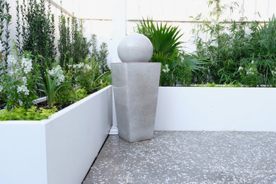 Design ideas for a small contemporary privacy backyard landscaping in Charleston.