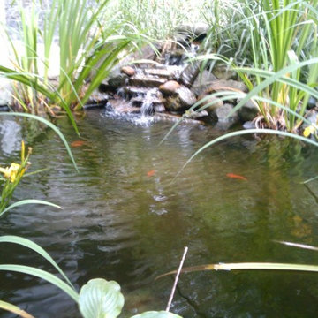 Small Pond with Waterfall