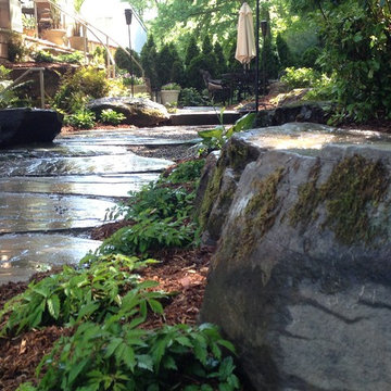 Small Shady Back Yard