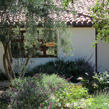 Small Spanish Cottage Drought Tolerant Landscape in Montecito CA