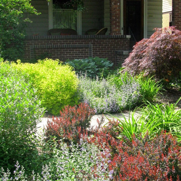 Small Urban Yard - Photos & Ideas | Houzz