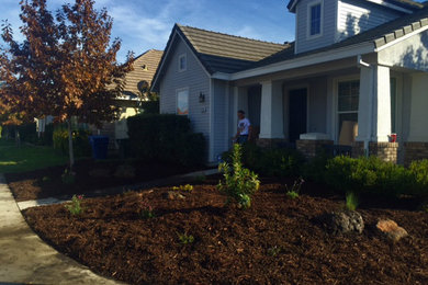 Photo of a contemporary front yard mulch garden path in Sacramento.