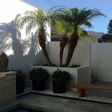 smooth stucco + tropical plantings