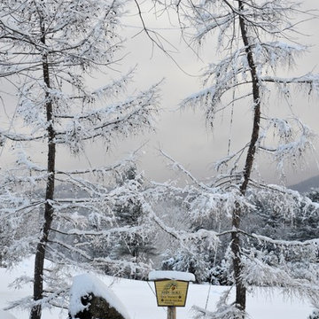 Snow and Ice-Covered Grandeur