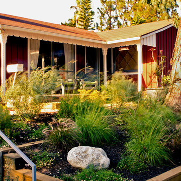 Soft Grasses and Green Textures- Front Yard