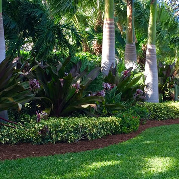 Soften the busy road and accent your front entryway by adding a Tropical roadsid