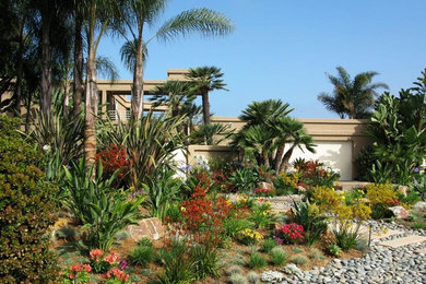 Photo of a large world-inspired front driveway full sun garden in San Diego with mulch.