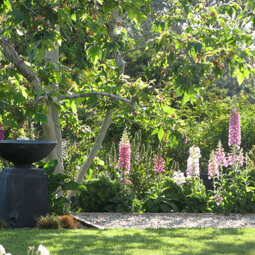 Solana Beach Elegance