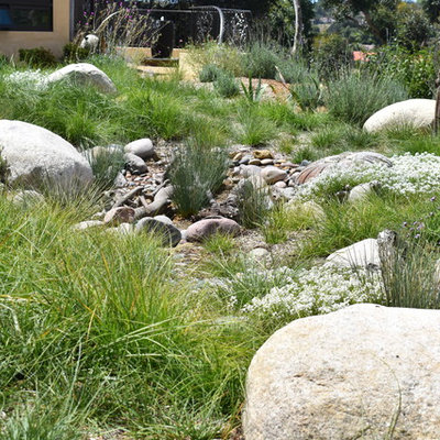 Design ideas for a large rustic drought-tolerant and full sun backyard gravel garden path in San Diego.
