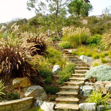 Solana xeriscape, cameron flagstone, drought tolerant, terrace retaining walls