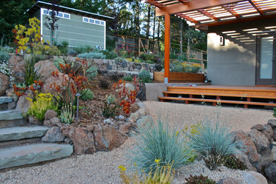Imagen de jardín de secano actual de tamaño medio en patio trasero con muro de contención, exposición reducida al sol y gravilla