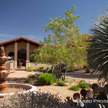 Sonoran Gardens..welcome home!