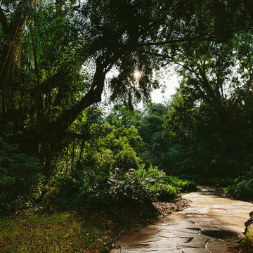 South Florida Rainforest