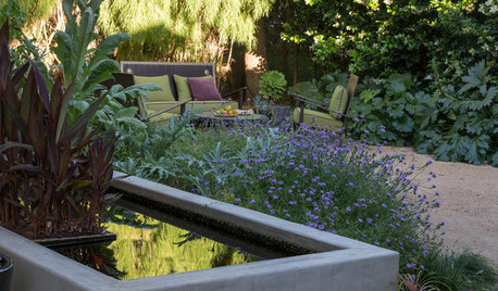 Houzz Call: Are You Letting Go of Your Lawn?
